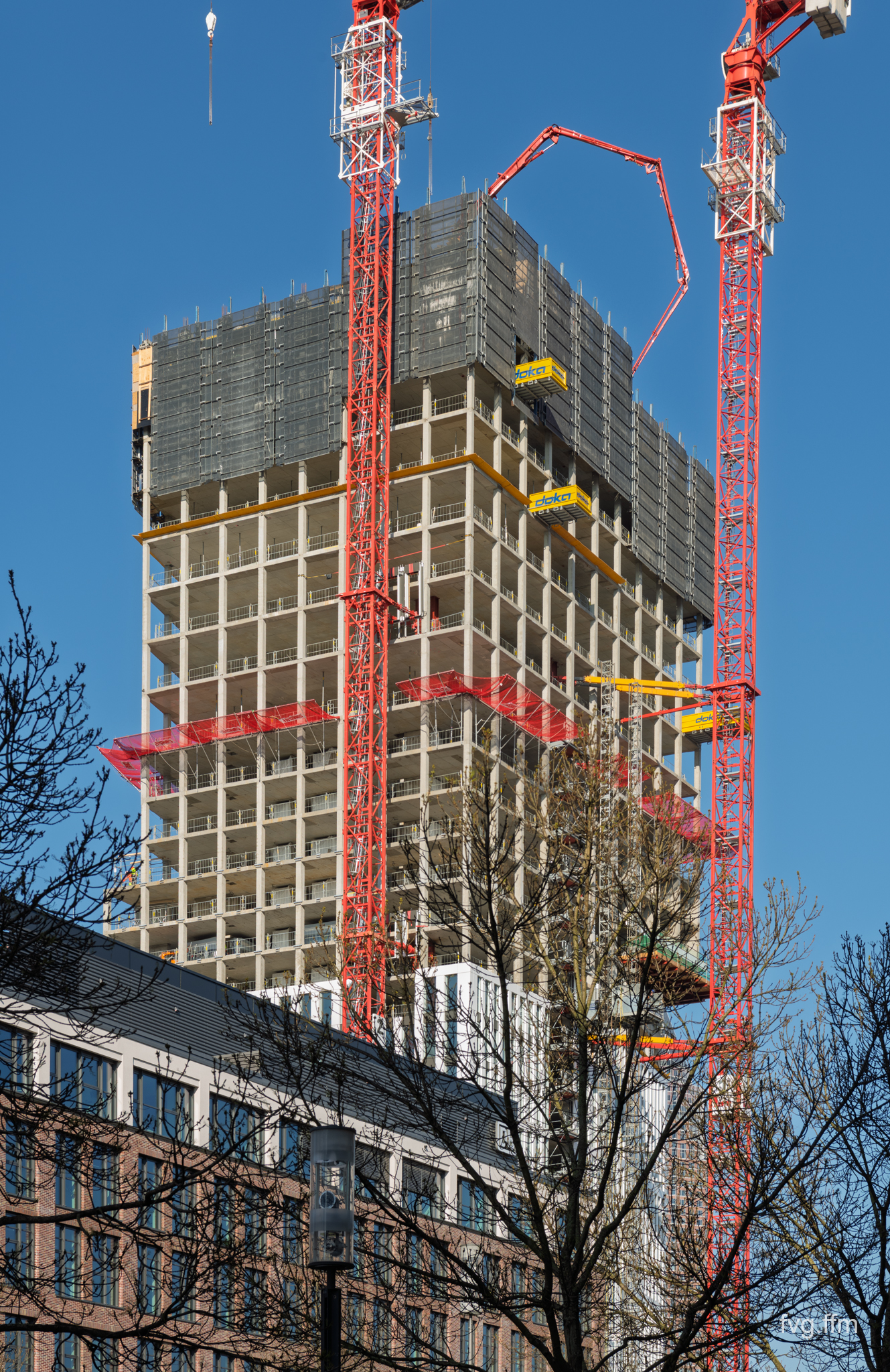 D85_2167.jpg
