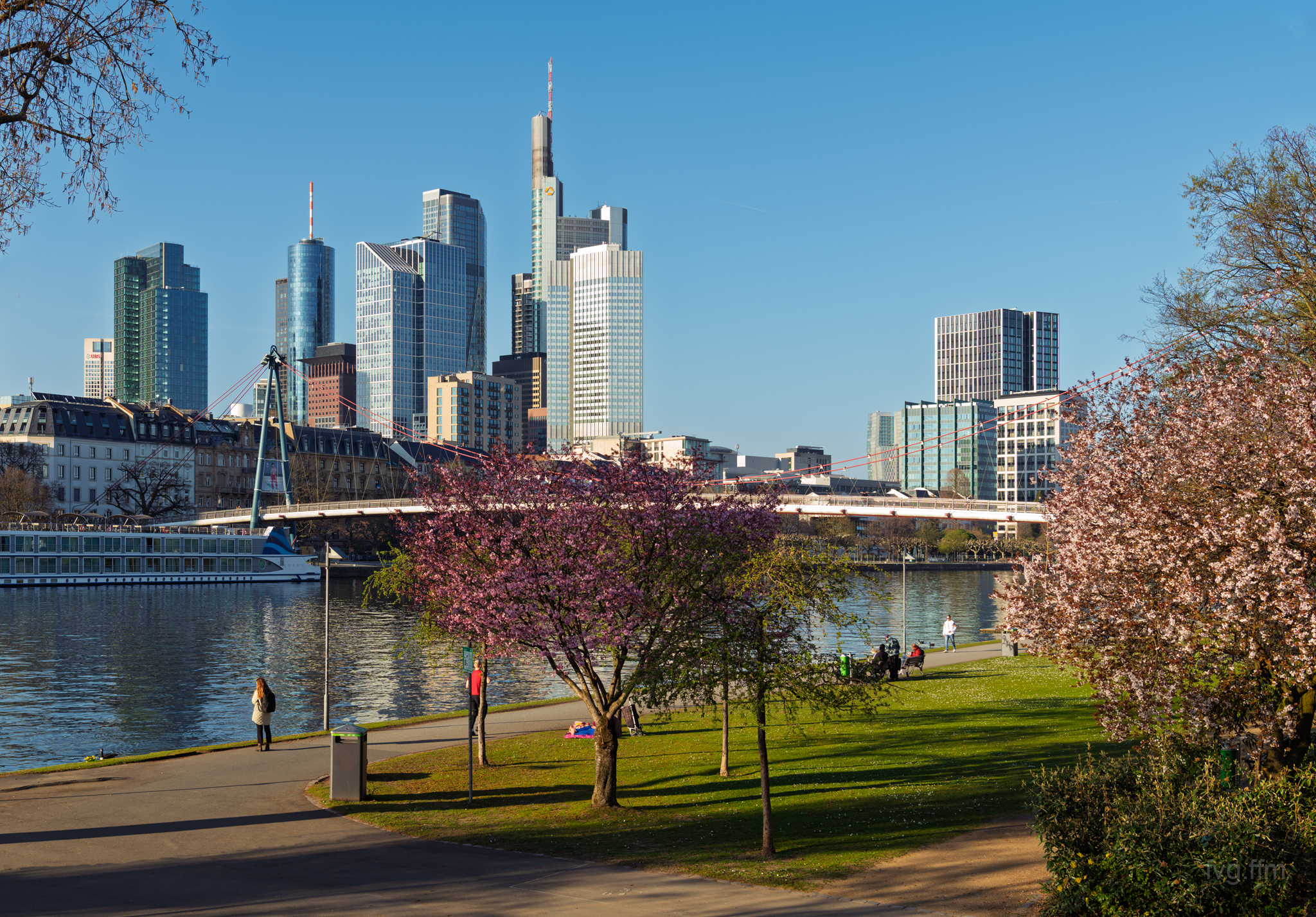skyline08.jpg